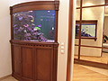 Морской аквариум с радиусной аквариумной тумбой.