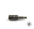 Биты Festool Torx TX-10/1шт