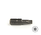 Биты Festool Torx TX-25/1шт